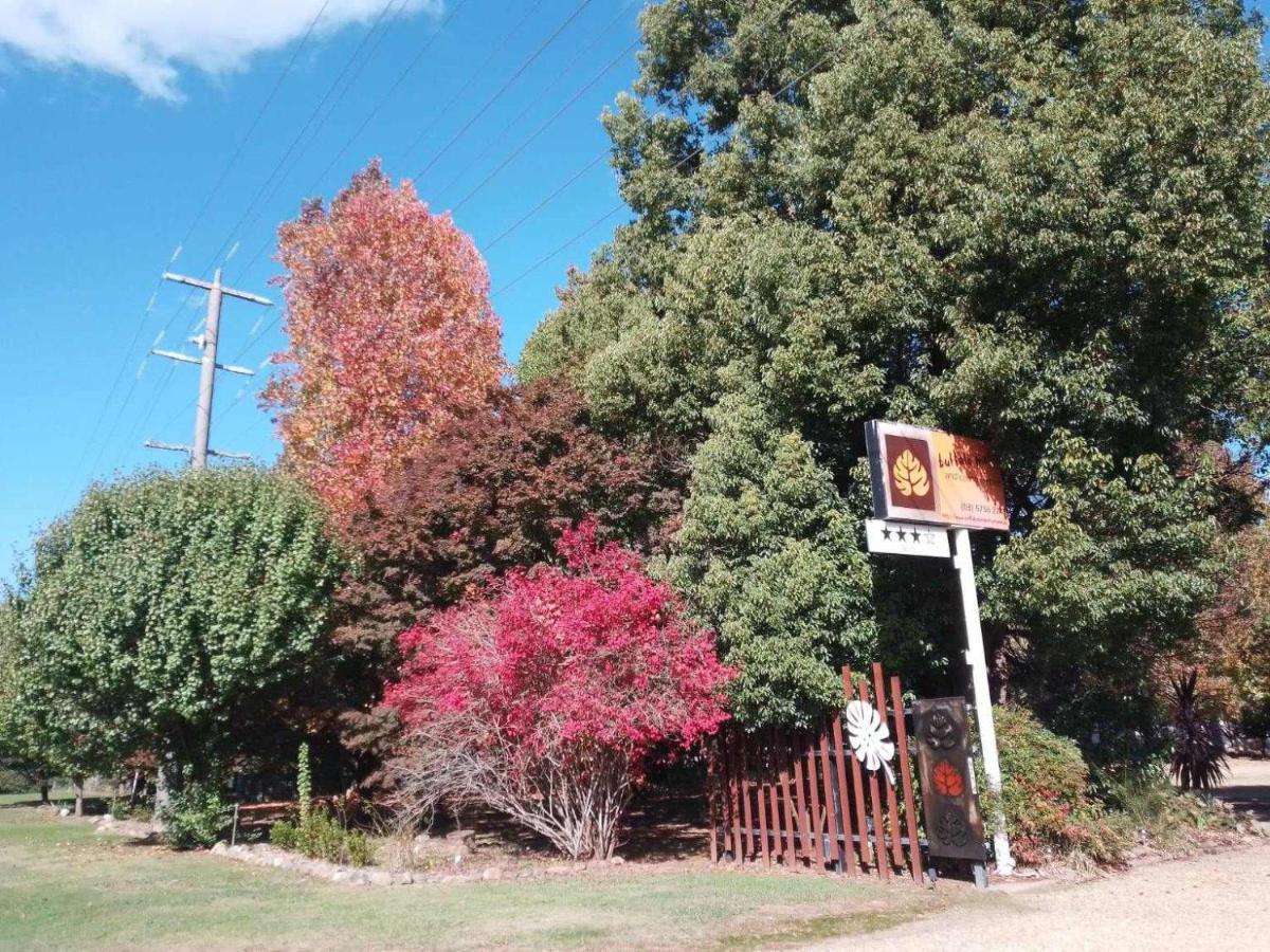 Buffalo Motel And Country Retreat Porepunkah Exterior photo